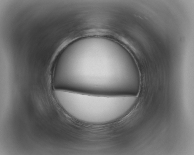 X0000112211459200908071253
