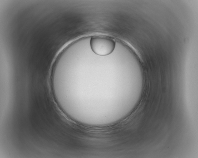 X0000112211460200908071253
