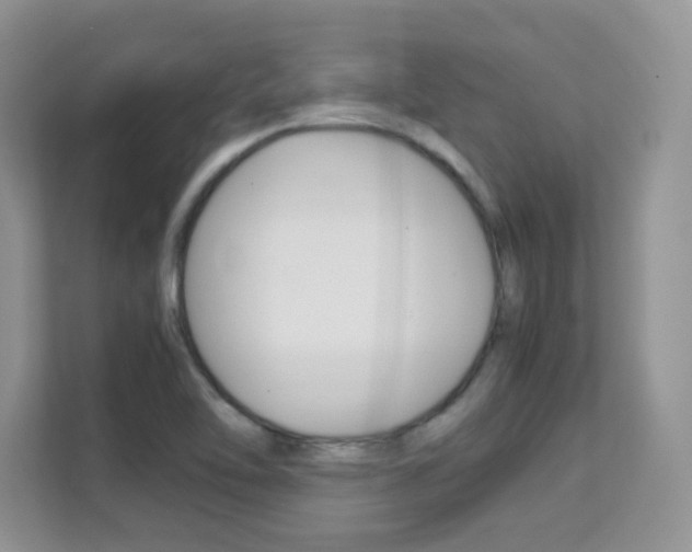 X0000112211462200908071253
