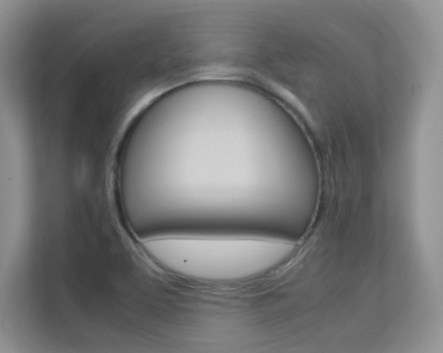 X0000112211463200908071253