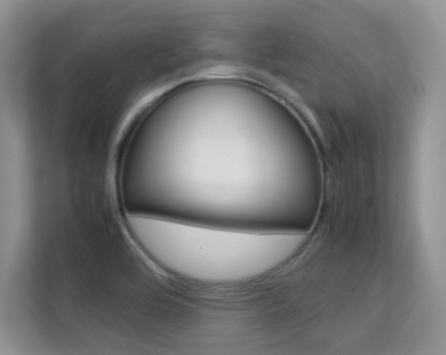 X0000112211464200908071253