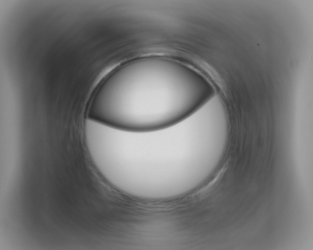 X0000112211465200908071253