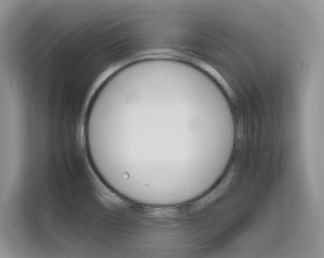 X0000112211466200908071253