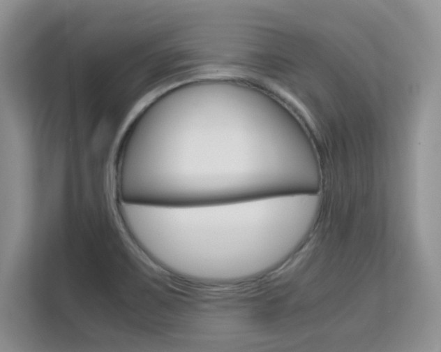 X0000112211467200908071253