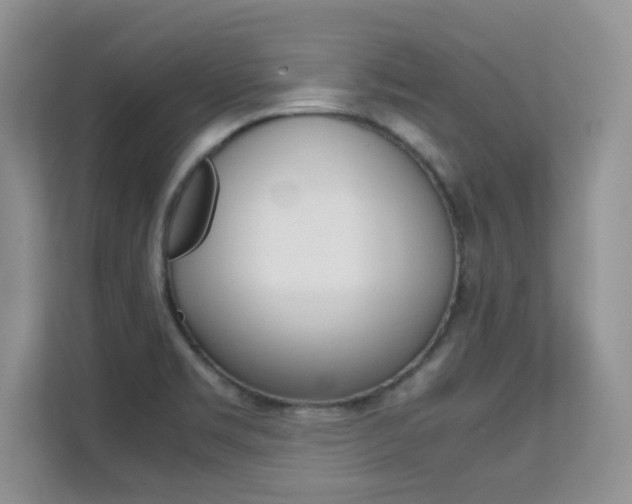 X0000112211469200908071253