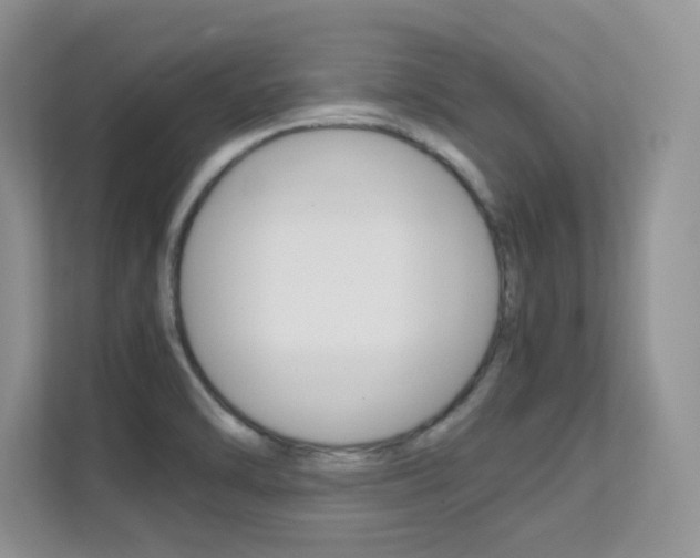 X0000112211470200908071253
