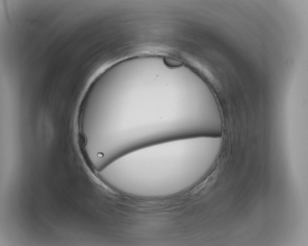 X0000112211471200908071253