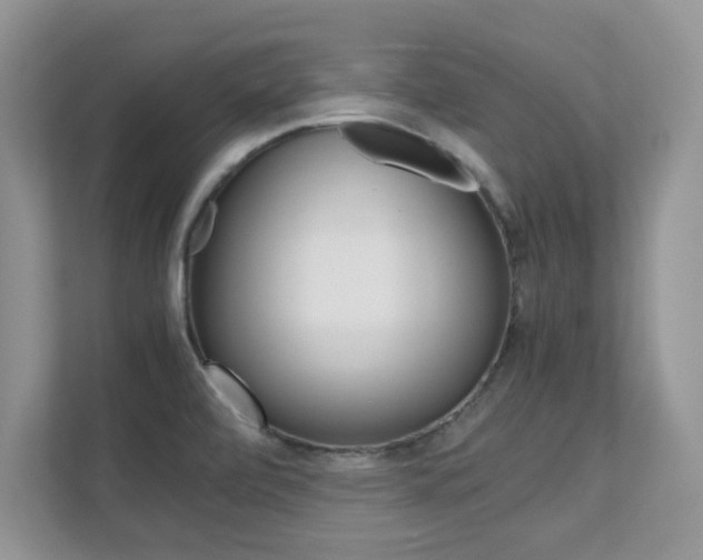 X0000112211472200908071253
