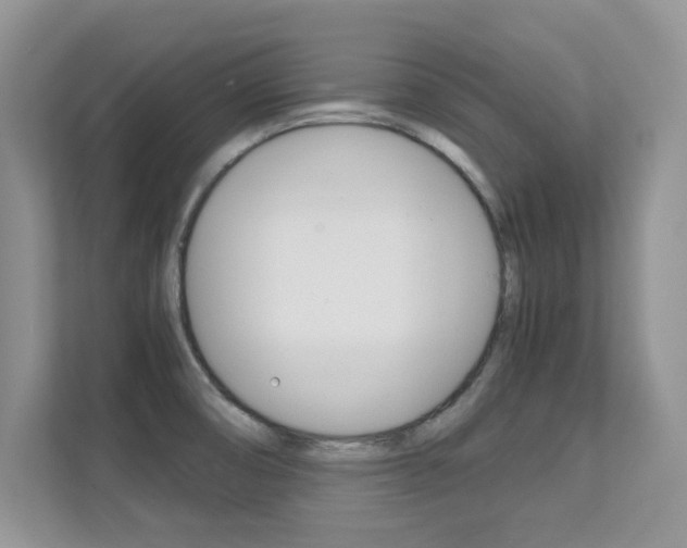 X0000112211474200908071253