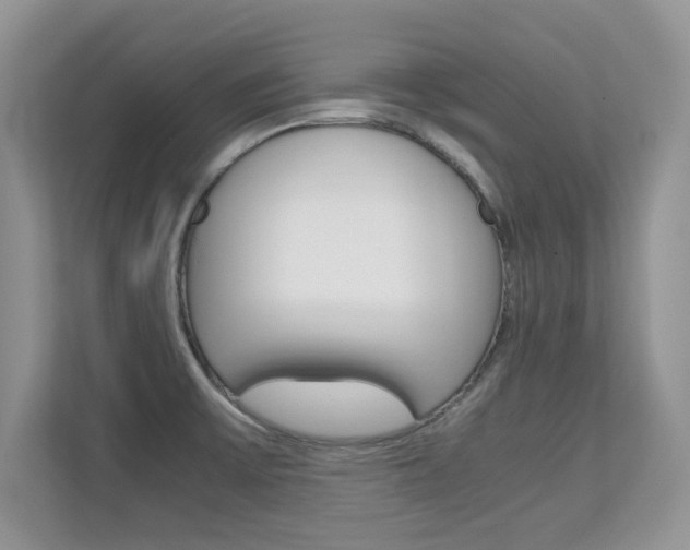 X0000112211475200908071253