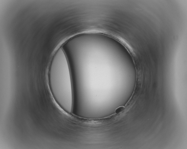 X0000112211476200908071253