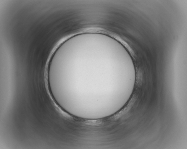 X0000112211478200908071253