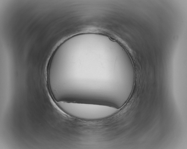 X0000112211479200908071253