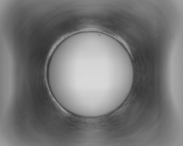 X0000112211480200908071253