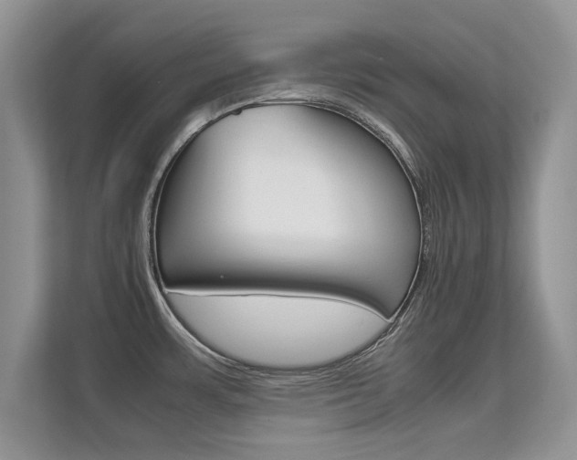 X0000112211483200908071253
