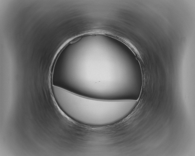 X0000112211484200908071253