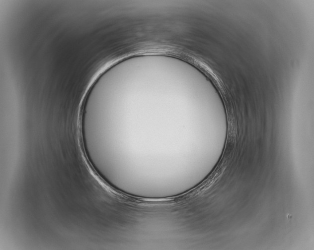 X0000112211487200908071253