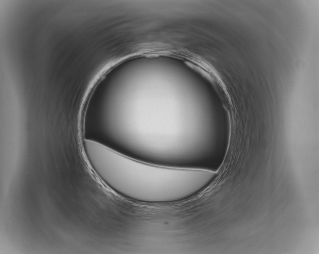 X0000112211488200908071253