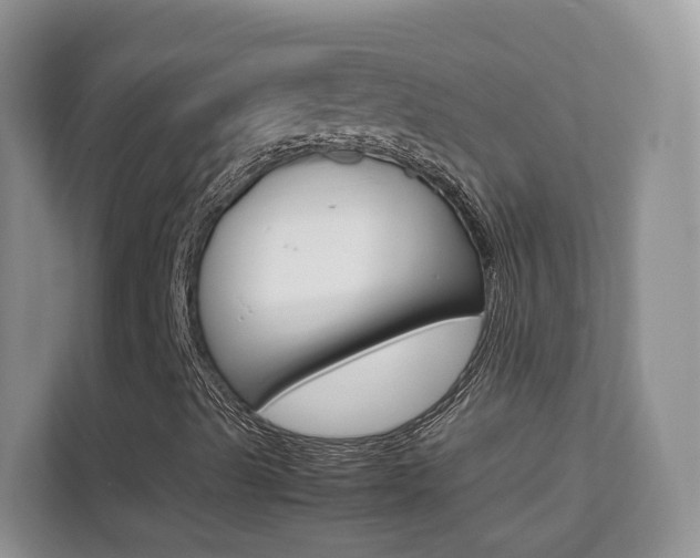 X0000112211489200908071252