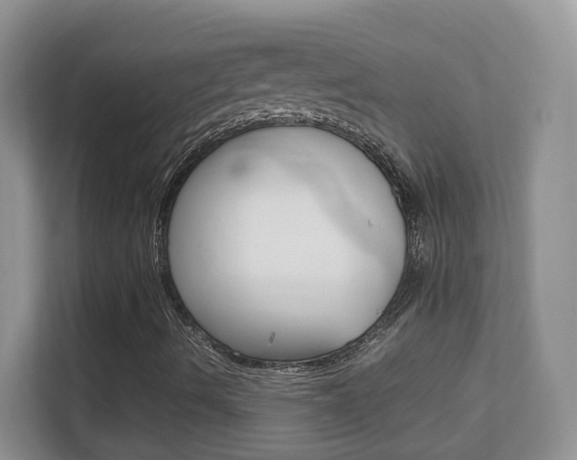 X0000112211490200908071252