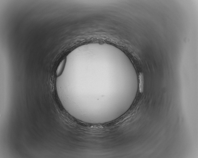 X0000112211491200908071252