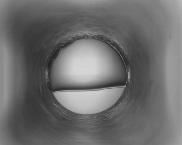 X0000112211492200908071252