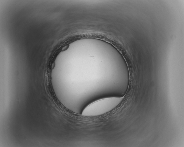 X0000112211493200908071252
