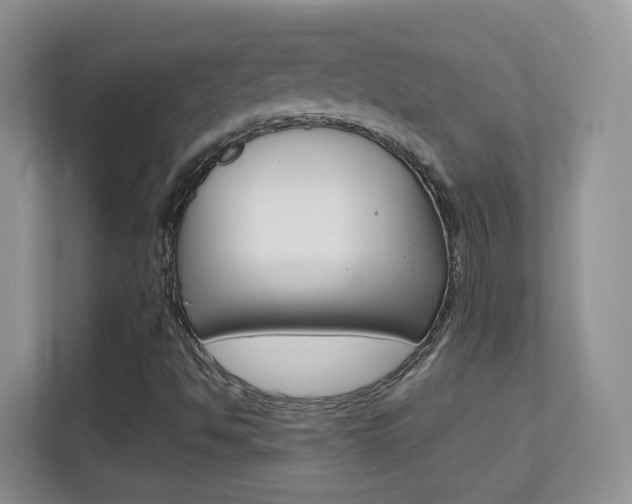 X0000112211494200908071252