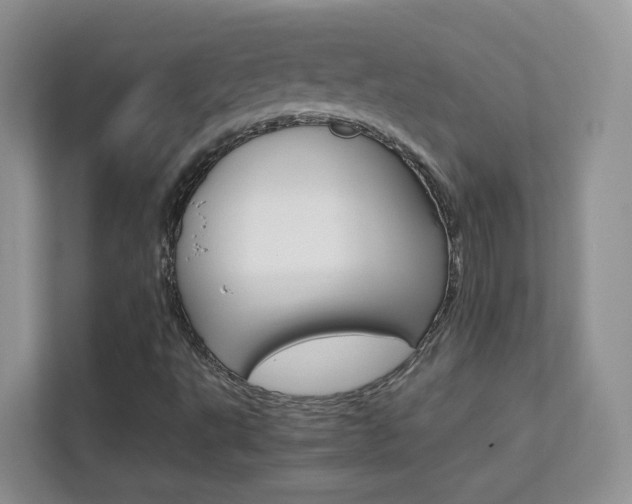X0000112211495200908071252