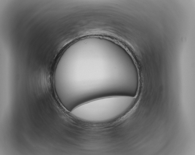 X0000112211497200908071252