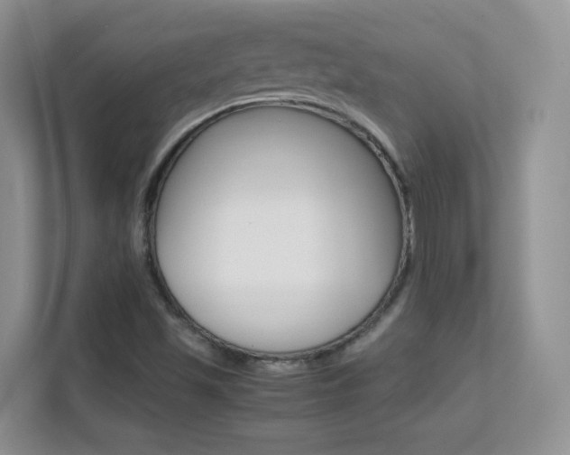 X0000112211501200908071252