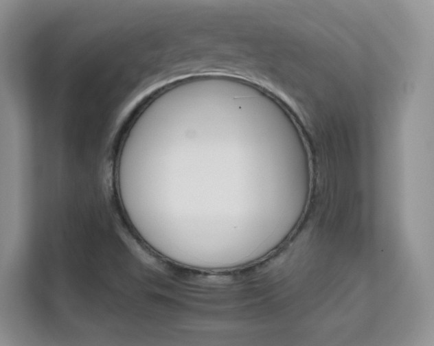 X0000112211503200908071252