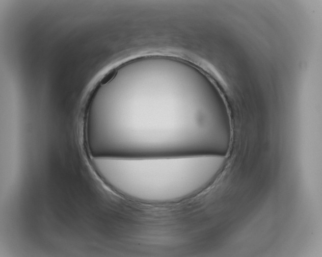 X0000112211504200908071252