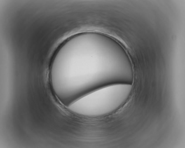 X0000112211507200908071252