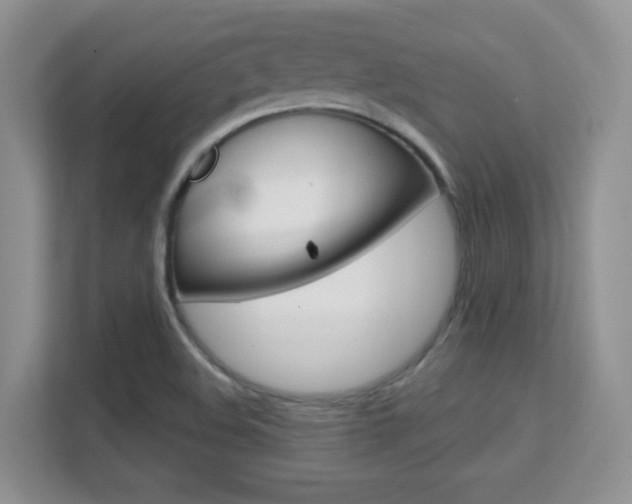 X0000112211508200908071252