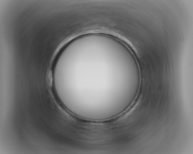 X0000112211509200908071252