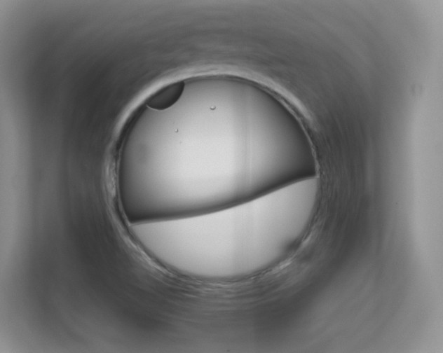 X0000112211510200908071252