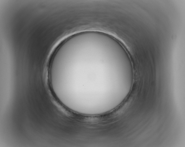 X0000112211511200908071252