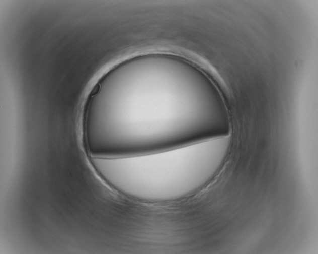 X0000112211512200908071252