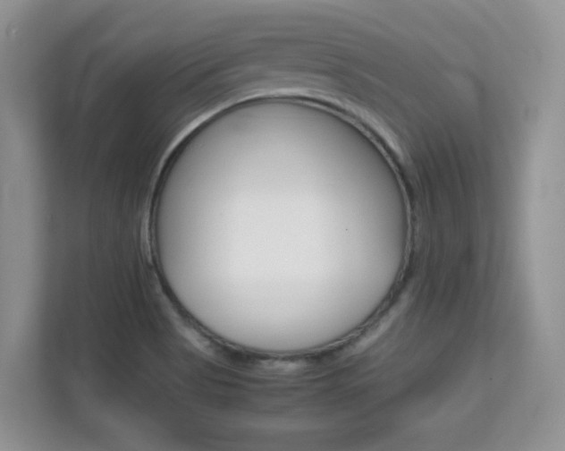 X0000112211513200908071252