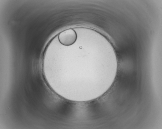 X0000112211514200908071252