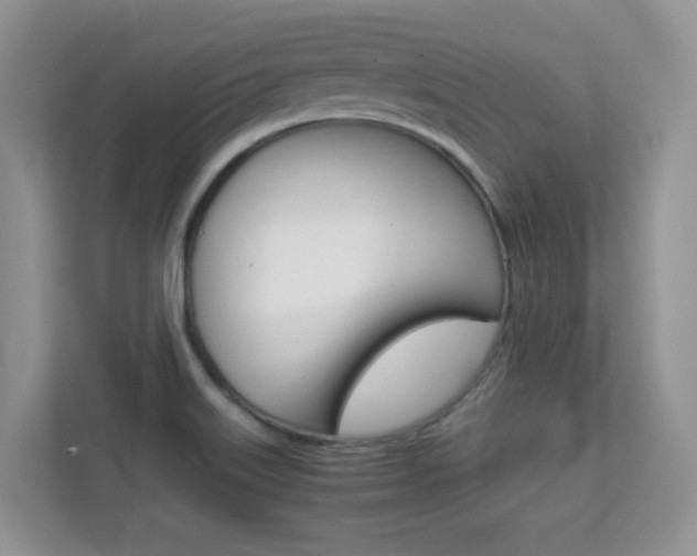 X0000112211515200908071252