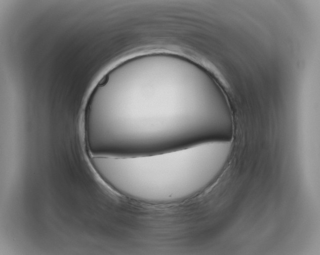 X0000112211516200908071252