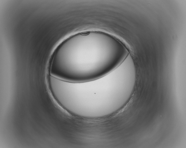 X0000112211518200908071253