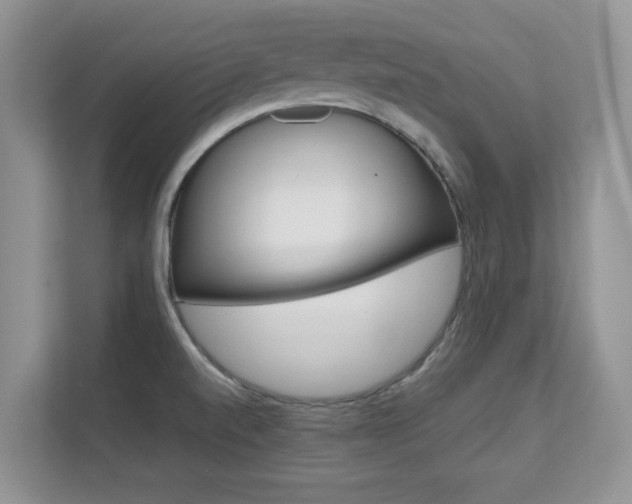 X0000112211520200908071253