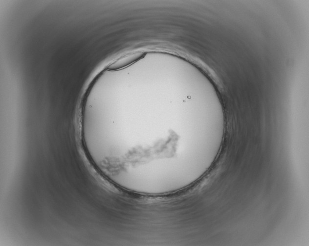 X0000112211522200908071253