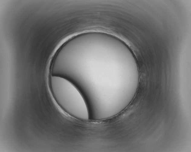 X0000112211523200908071253