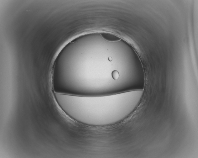 X0000112211524200908071253