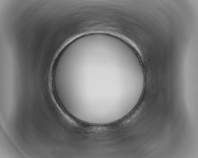 X0000112211525200908071253