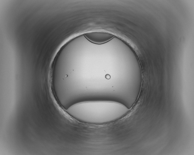 X0000112211526200908071253